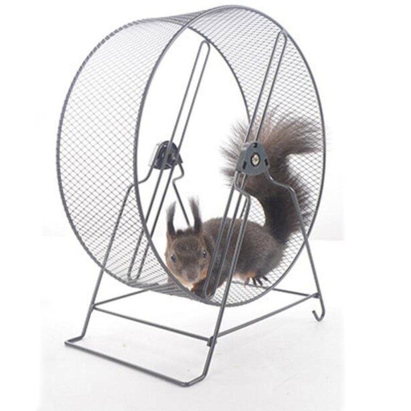 Jogging Wheel Black Wire Mesh