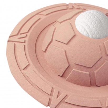 Dog Training Fetching Toy